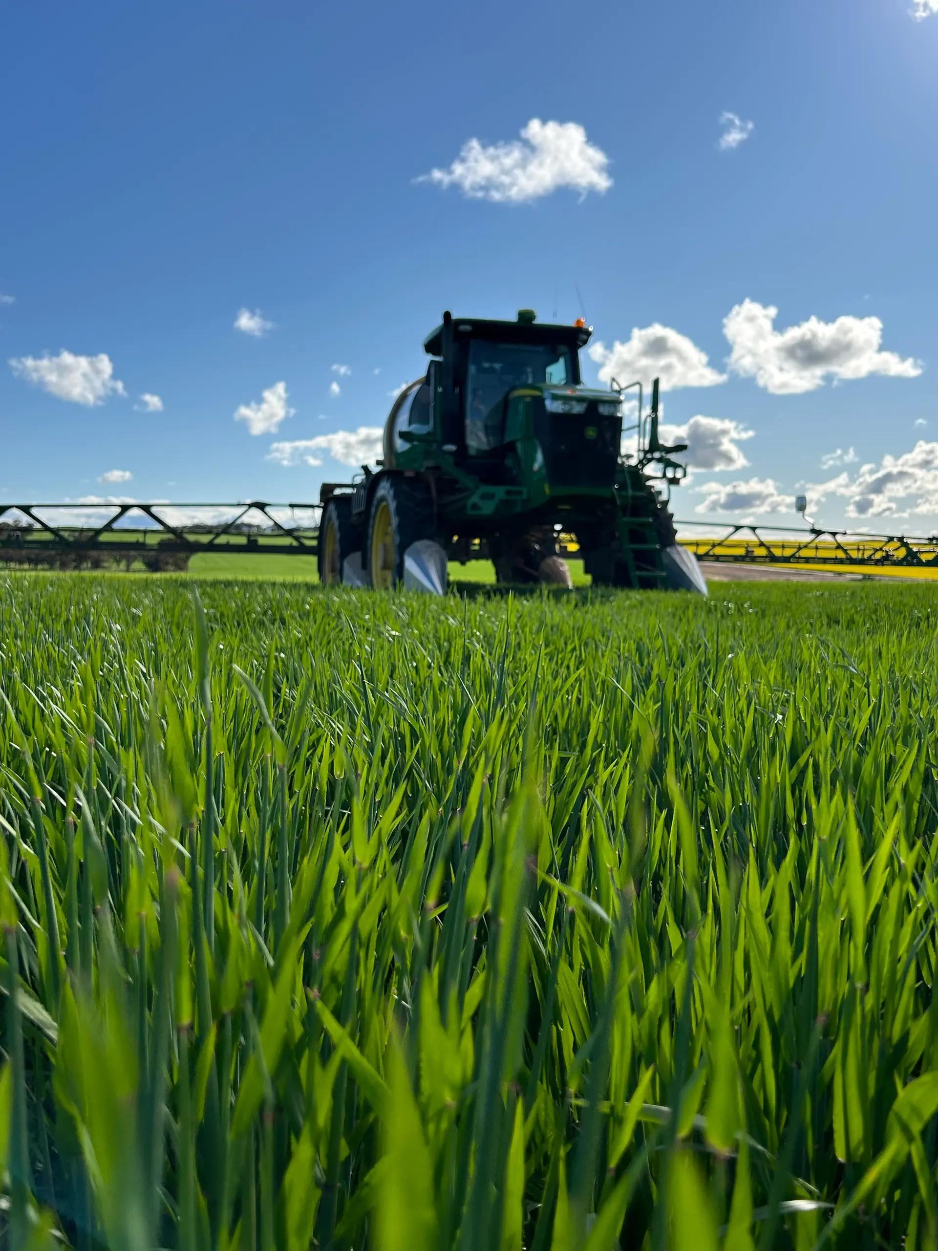 Boomspray in green barley crop, Sunnydale